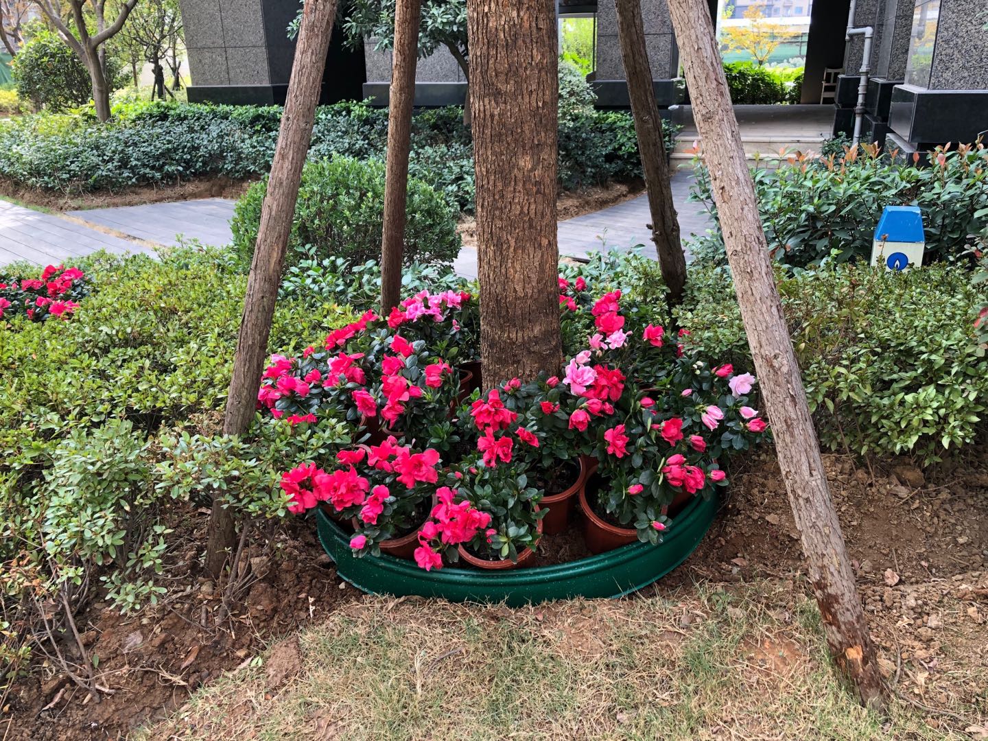 【博觀發(fā)現(xiàn)】有溫度和情感的服務,傾注在家園處處……