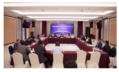 【博觀新聞】 我司黃光宇教授被聘為湖北省物業(yè)管理學術 專家委員會副主任